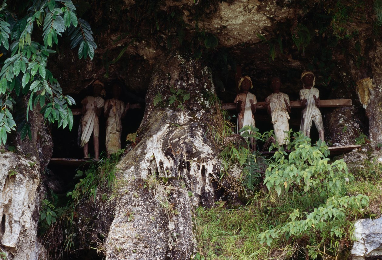 Begravelsesnicher med Tau Tau lighusfigurer, landsbyen Marrante, Tana Toraja, øen Sulawesi, Indonesien af Unbekannt Unbekannt