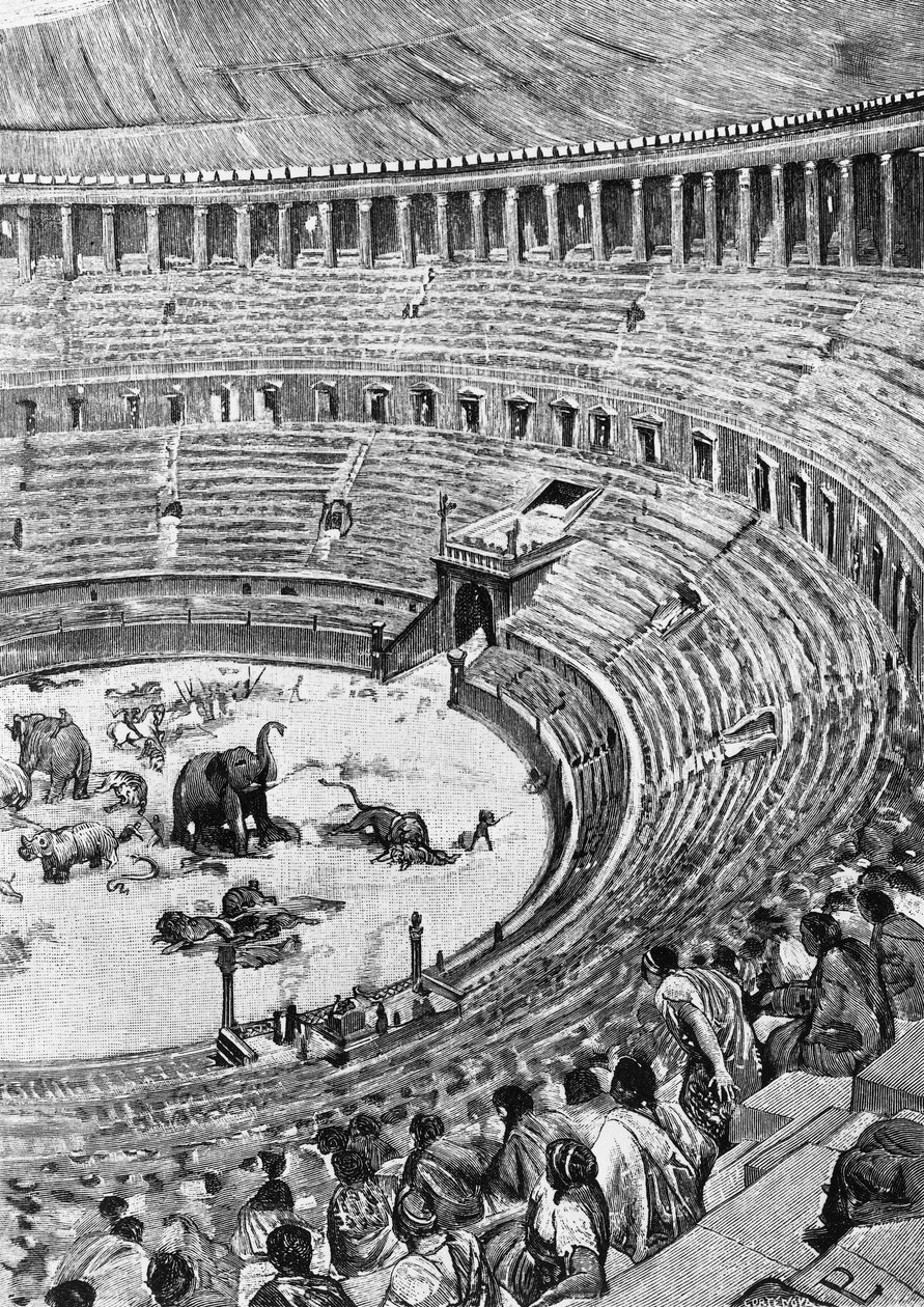 Indvielse af det flaviske amfiteater, kendt som Colosseum, i Rom i 80 e.Kr., hvor publikum så dyrekampe, illustration fra Roms historie, af Francesco Bertolini (1836-1909), Treves, Milano af Unbekannt Unbekannt