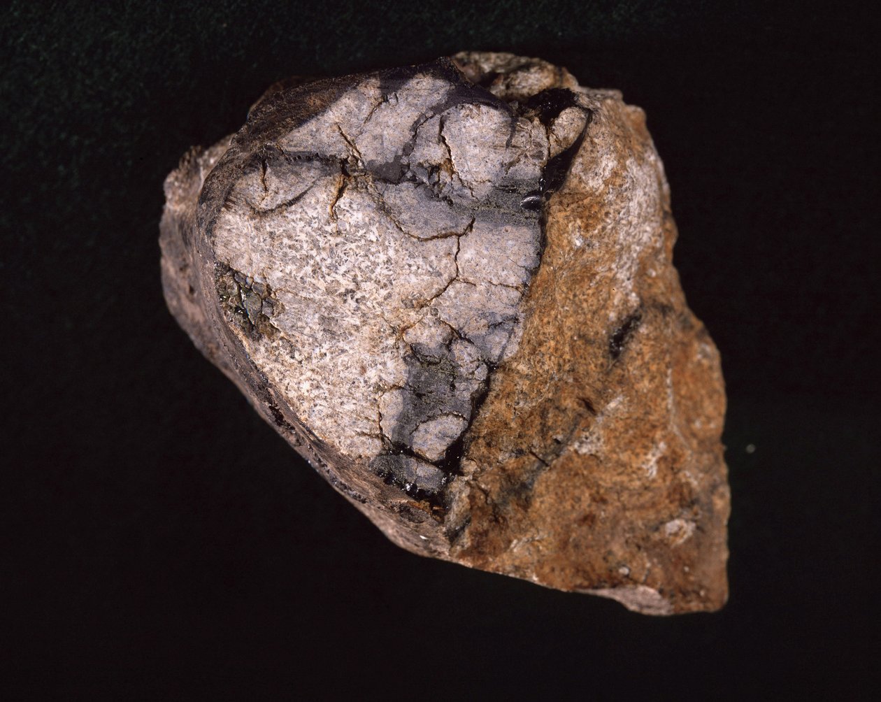 Meteorit fundet i Indien i 1875 - Museum d