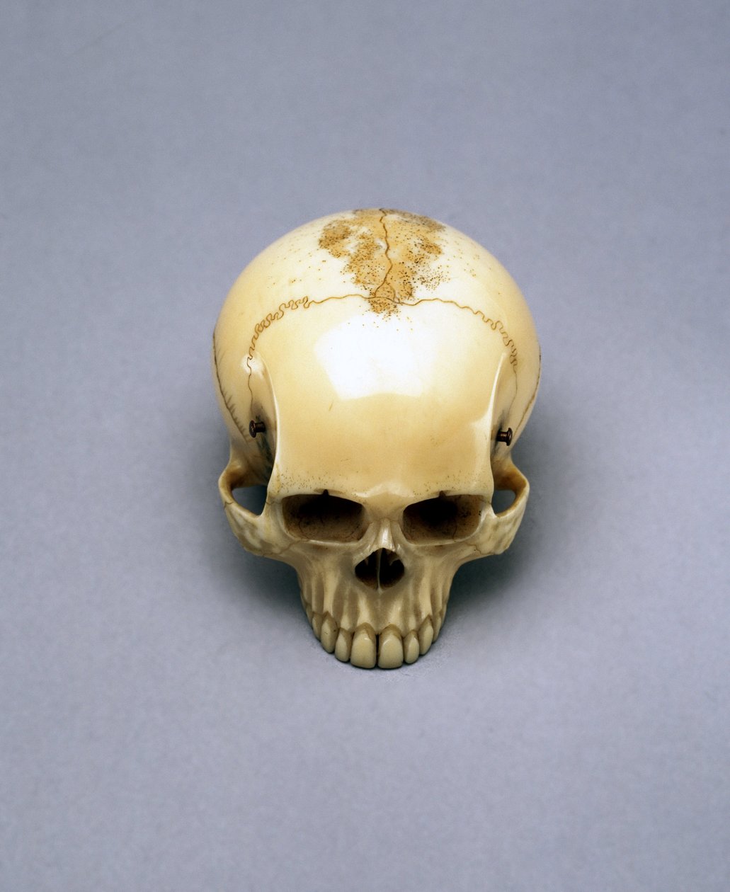 Model af et kranie, sandsynligvis en netsuke, japansk af Unbekannt Unbekannt