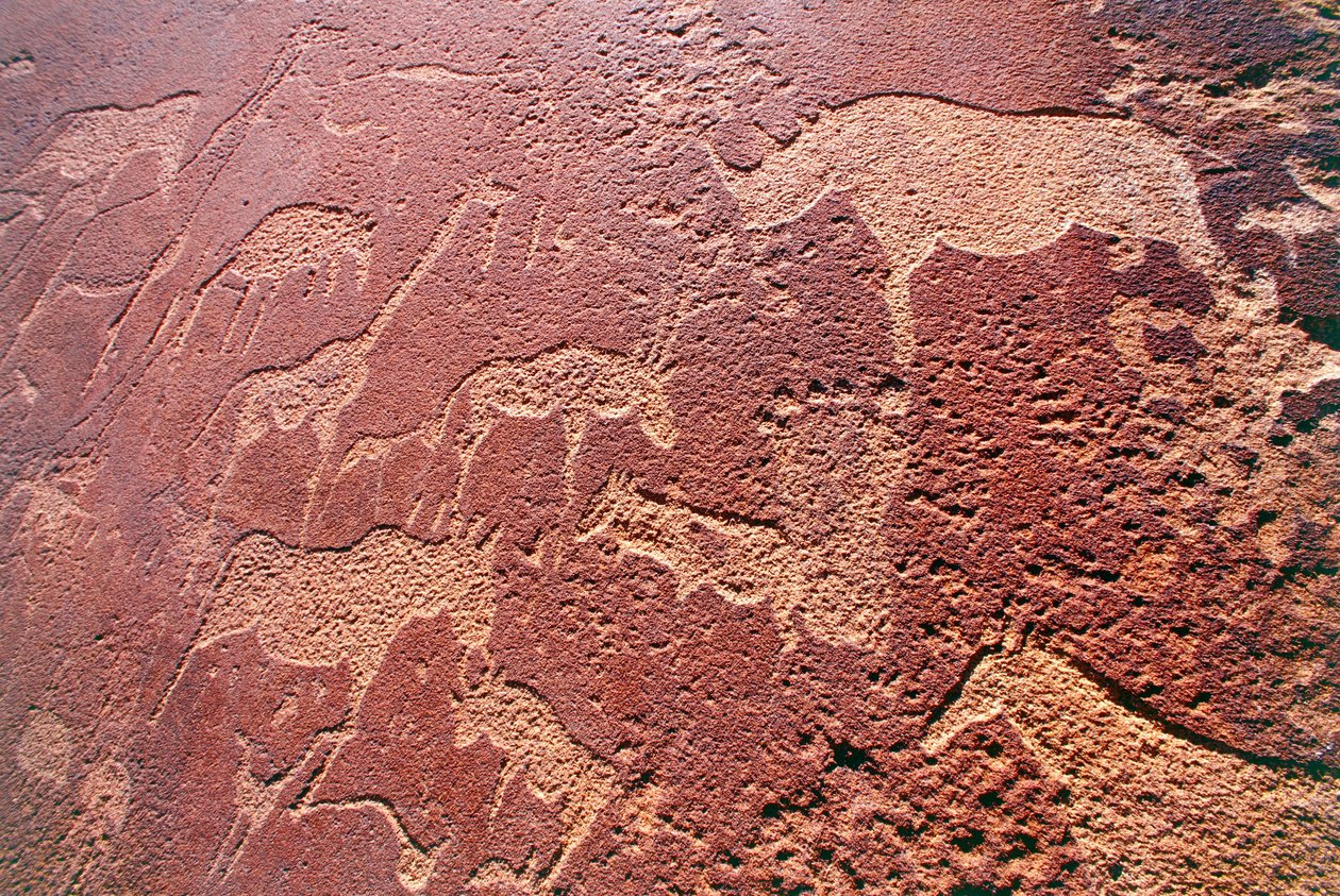 Namibia, Damaraland Wilderness Area, Twyfelfontein, Brandberg-bjergene, stenalderstengraveringer af Unbekannt Unbekannt