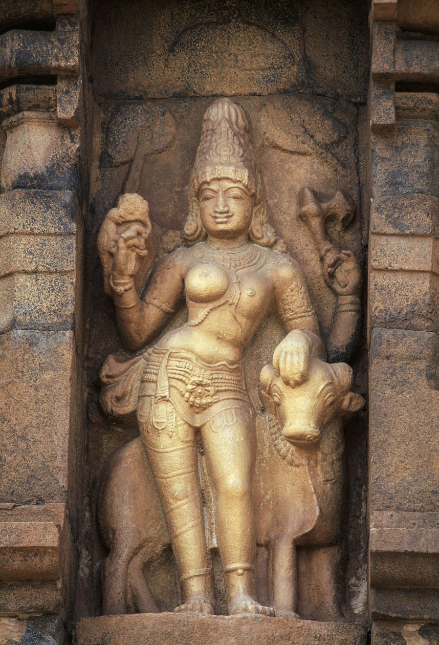 Relief Deficient Parvathi, Brihadeeswara Temple, Gangaikonda Cholapuram, Tamil Nadu, Indien af Unbekannt Unbekannt
