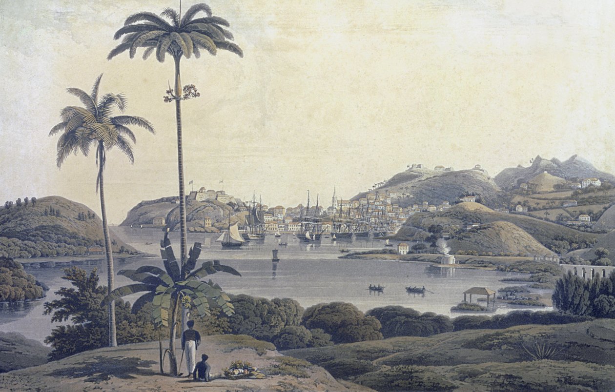 En udsigt over byen St. George på øen Grenada, taget fra Belmont Estate, indgraveret af William Daniell (1769-1837), ca. 1810 af Lieutenant Colonel J. Wilson