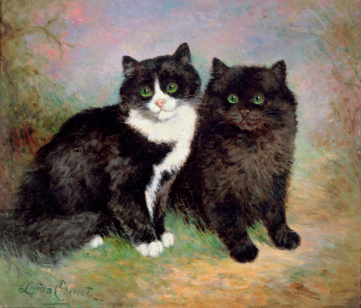 Et par Pussy Cats af Lilian Cheviot