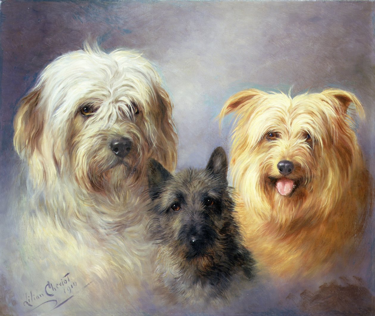 En tibetaner, en cairn og en silky terrier af Lilian Cheviot