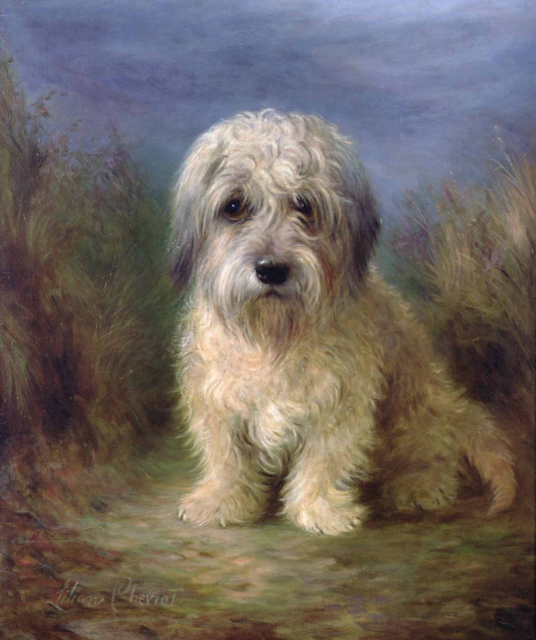 Dandie Dinmont Terrier (olie på lærred) af Lilian Cheviot