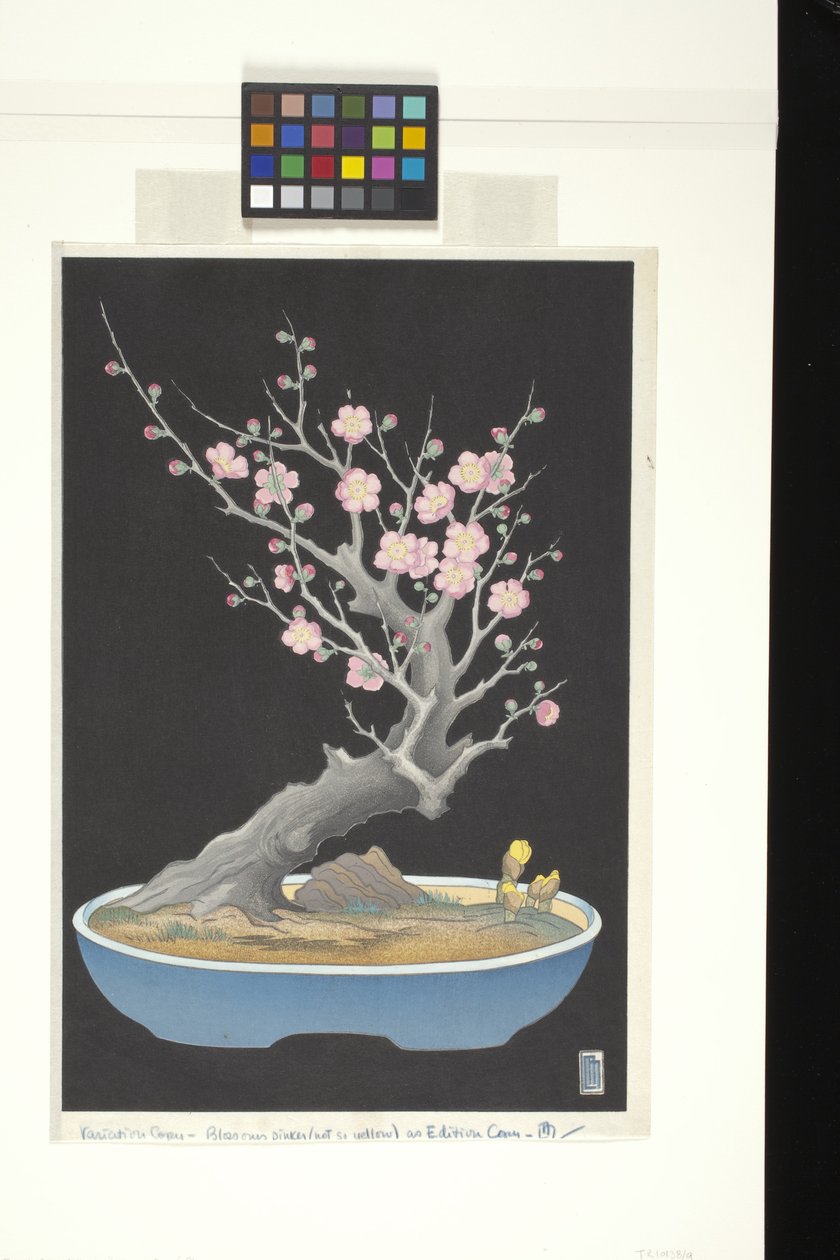 Japansk dværgblomme (træbloktryk i farver) af Lilian May Miller