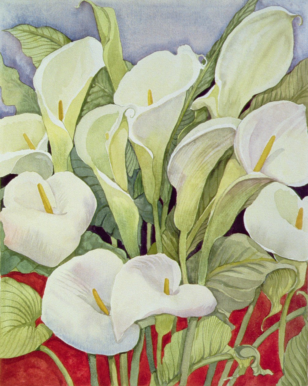 Arum Lillies, 1978 af Lillian Delevoryas