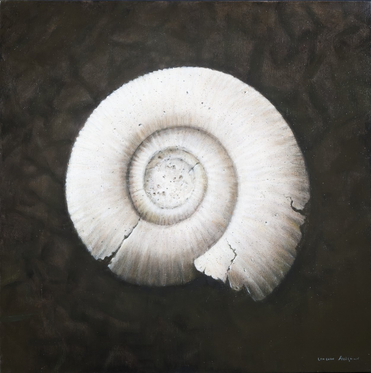 Amononite, 2012 (akryl på lærred) af Lincoln Seligman