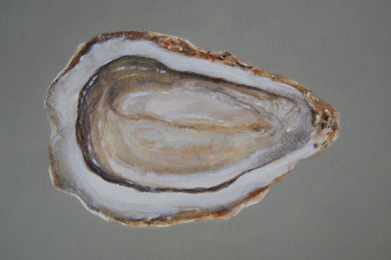 Breton Oyster 2 af Lincoln Seligman