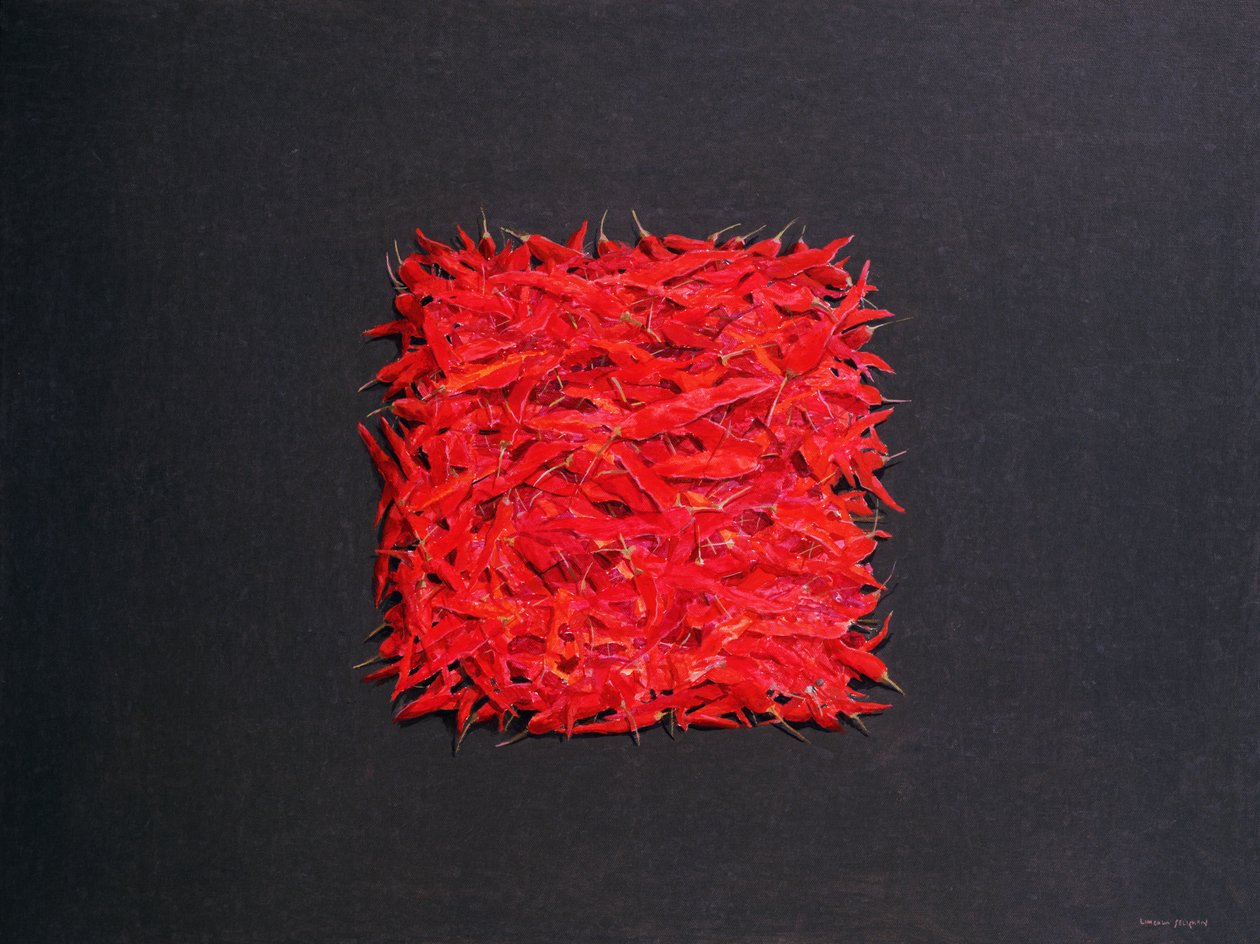 Chili af Lincoln Seligman