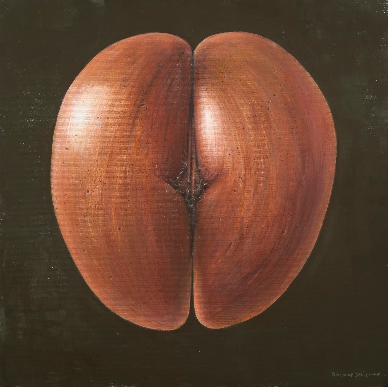 Coco de Mer, Maldiverne, 2012 (akryl på lærred) af Lincoln Seligman