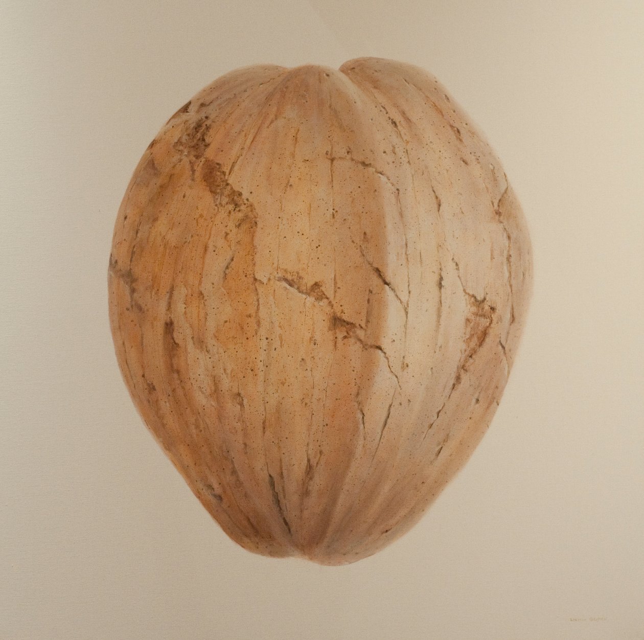 Coconut, Sri Lanka, 2010 (akryl på lærred) af Lincoln Seligman