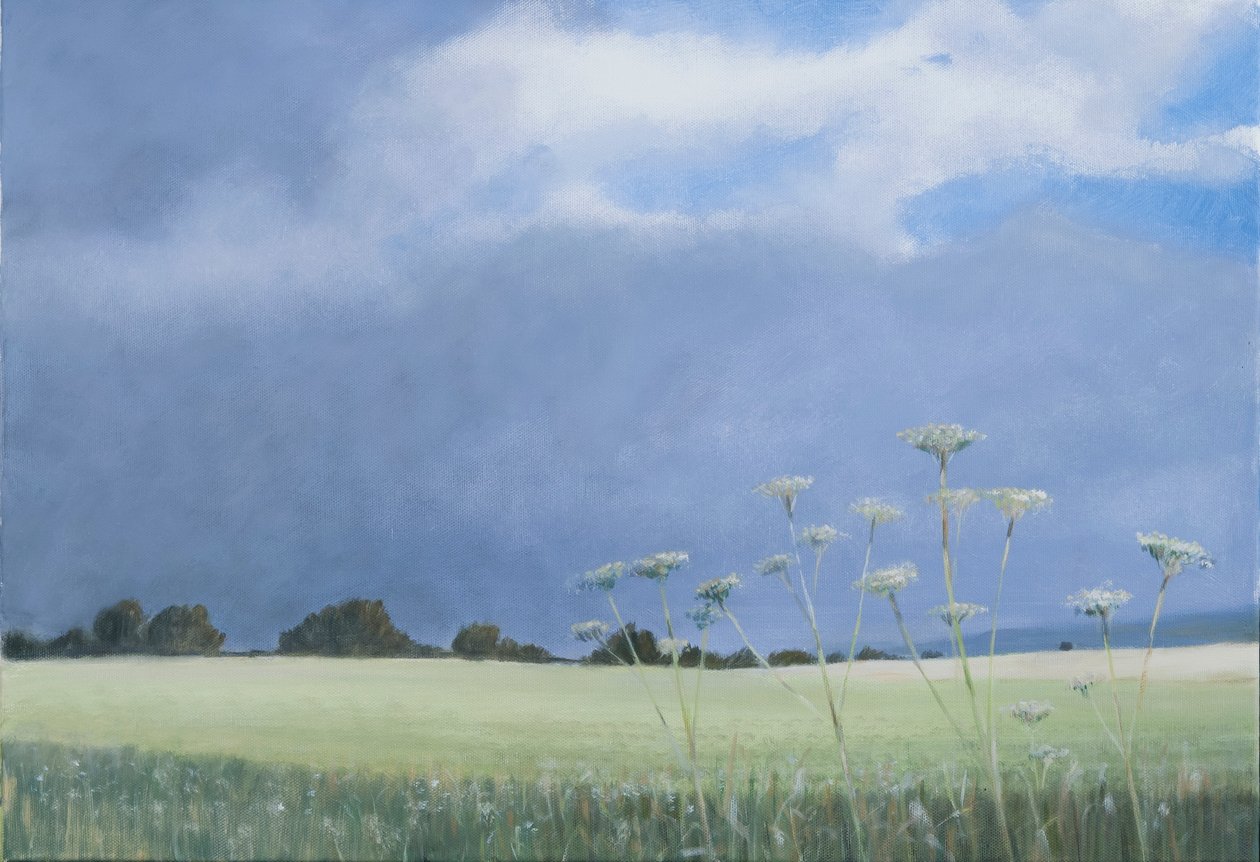 Cow Parsley, 2012 (akryl på lærred) af Lincoln Seligman