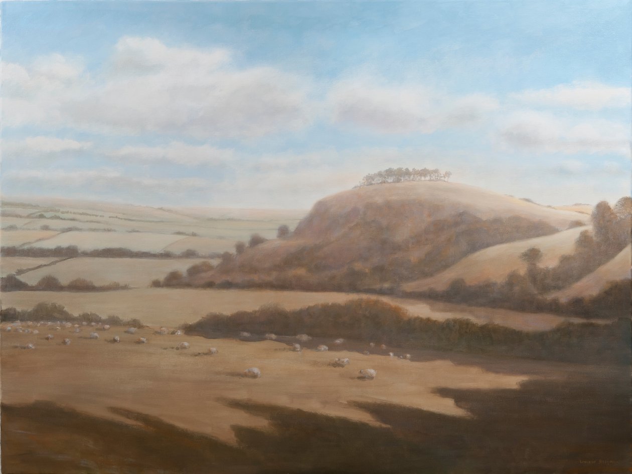 Gloucestershire landskab, 2012 (akryl på lærred) af Lincoln Seligman