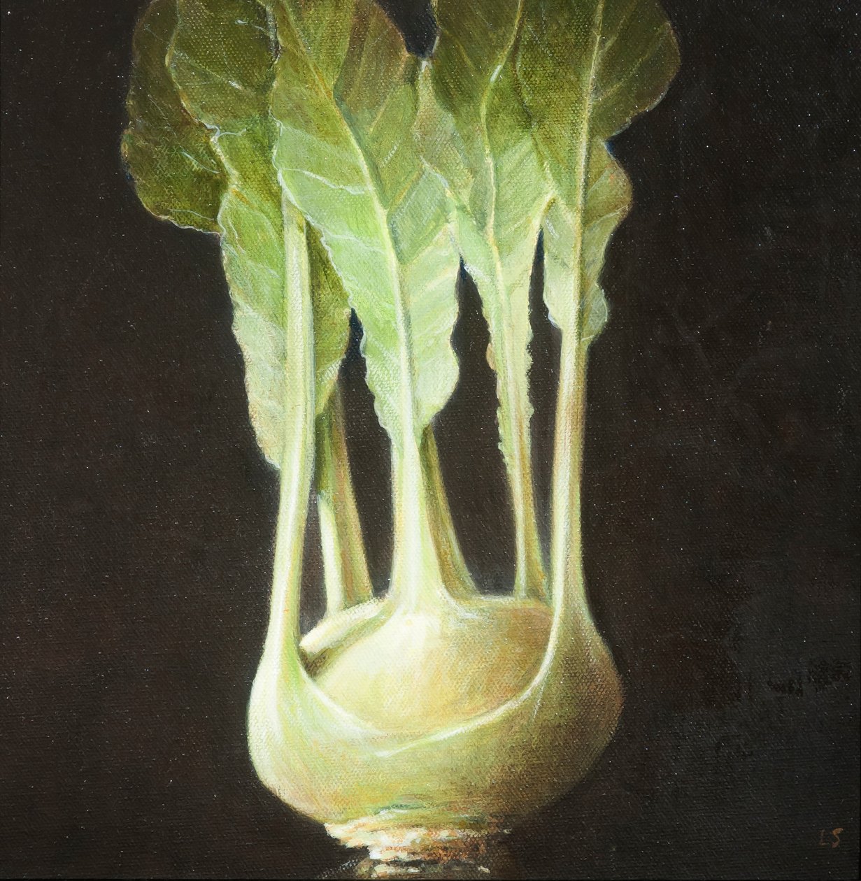 Kohl Rabi, 2012 (akryl på lærred) af Lincoln Seligman