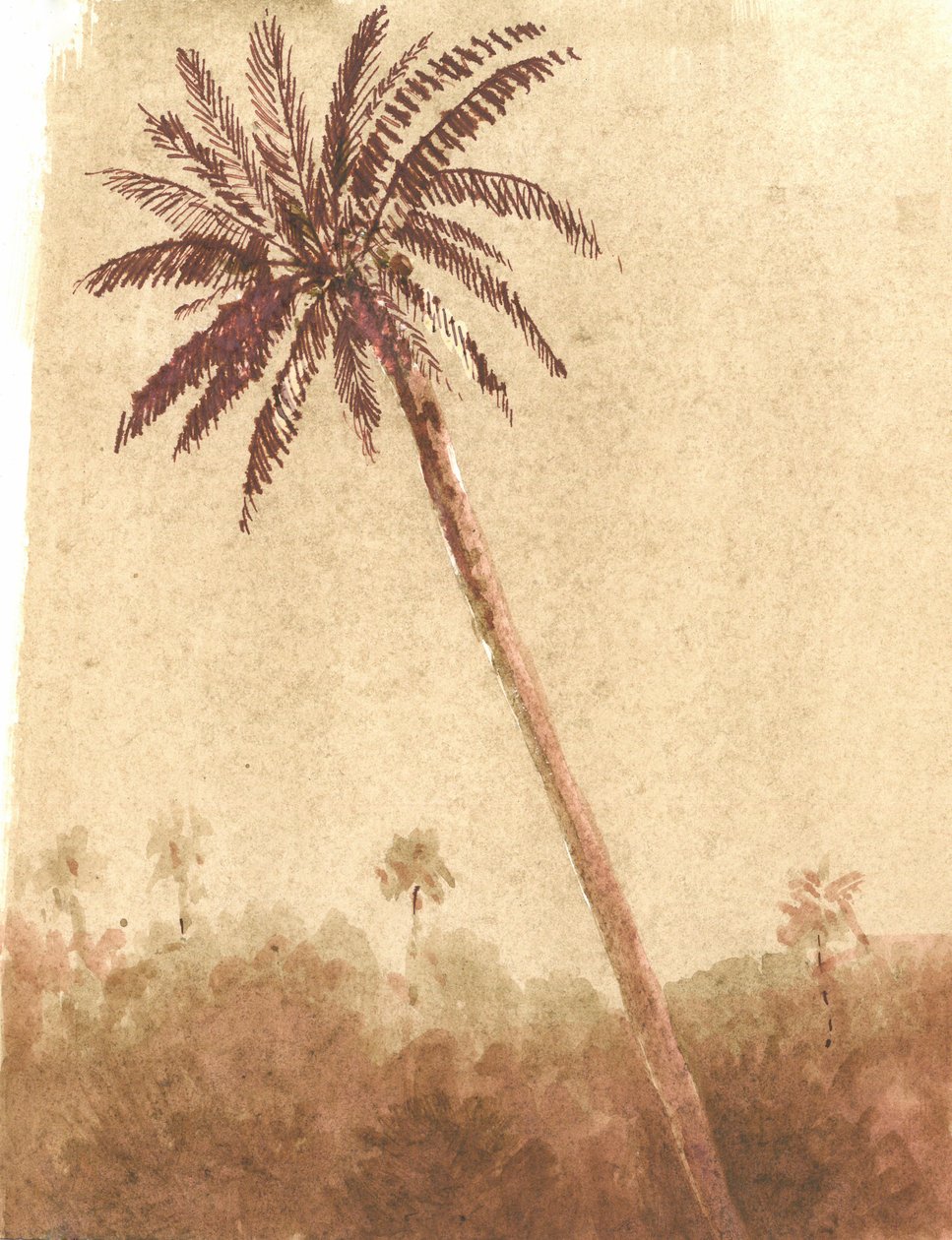 Palme, 2015 af Lincoln Seligman