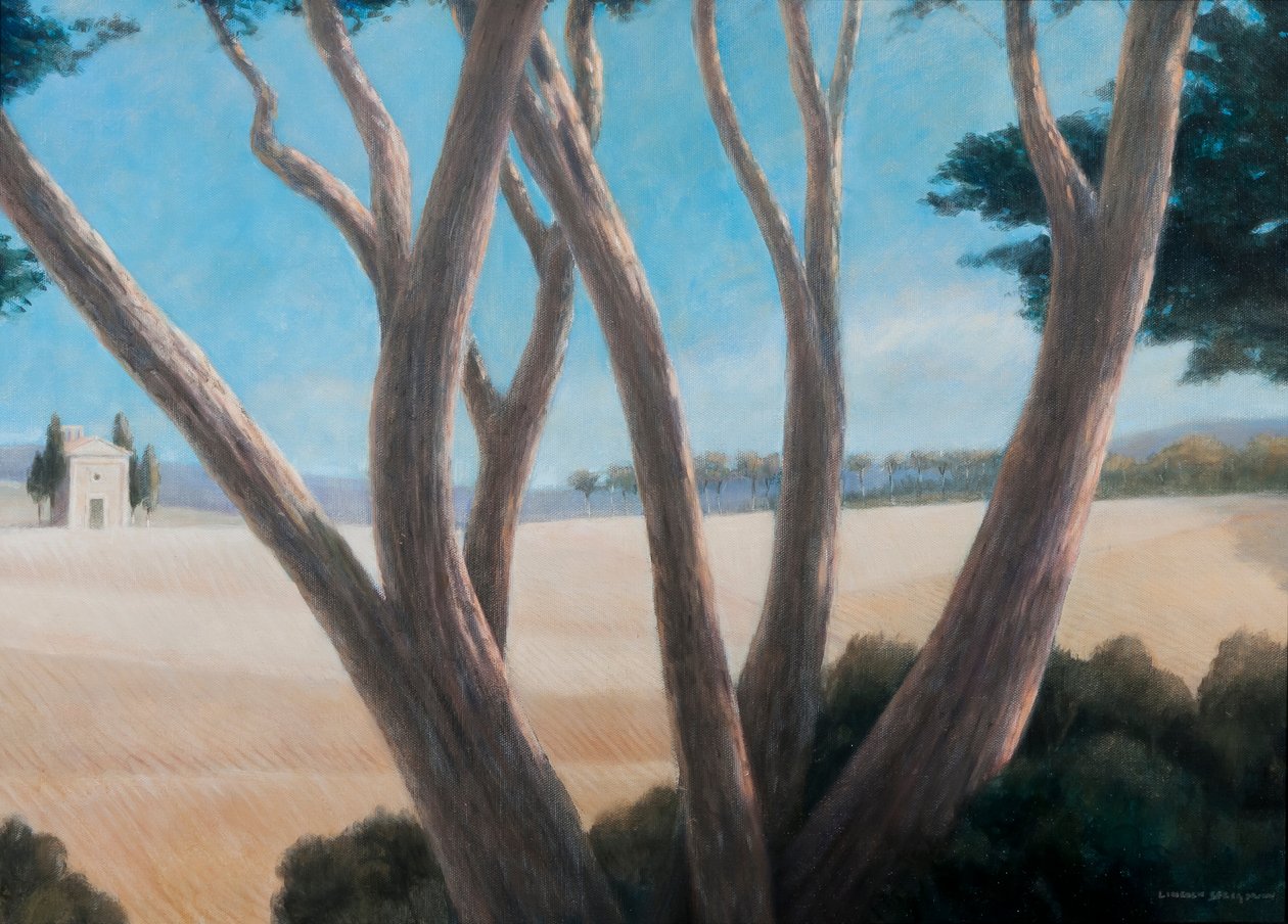 Pines near Pienza, 2012 (akryl på lærred) af Lincoln Seligman