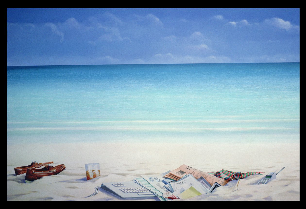 Sol, sand og penge II af Lincoln Seligman