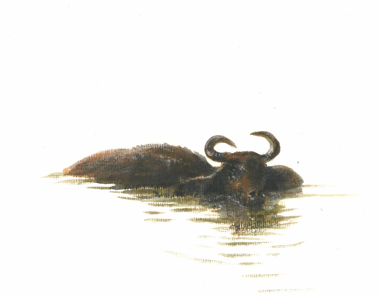 Water Buffalo 2, 2015 af Lincoln Seligman