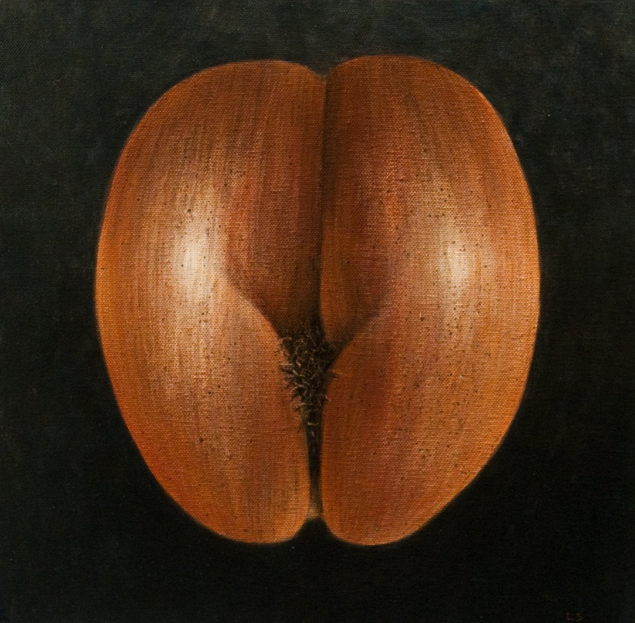 Coco de Mer, 2010 (akryl på lærred) af Lincoln Seligman