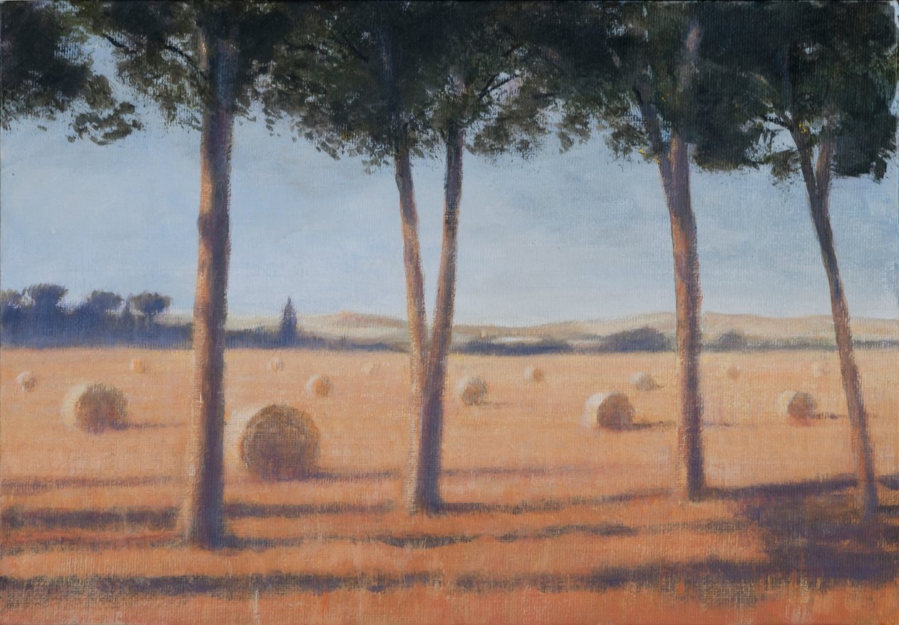 Hay Balles and Pines, Pienza, 2012 (akryl på lærred) af Lincoln Seligman