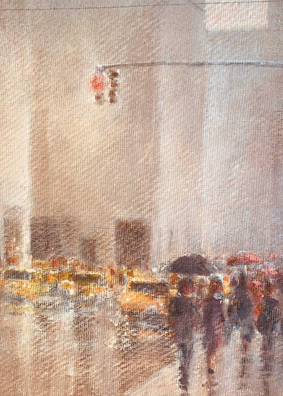 Regnfulde New York af Lincoln Seligman