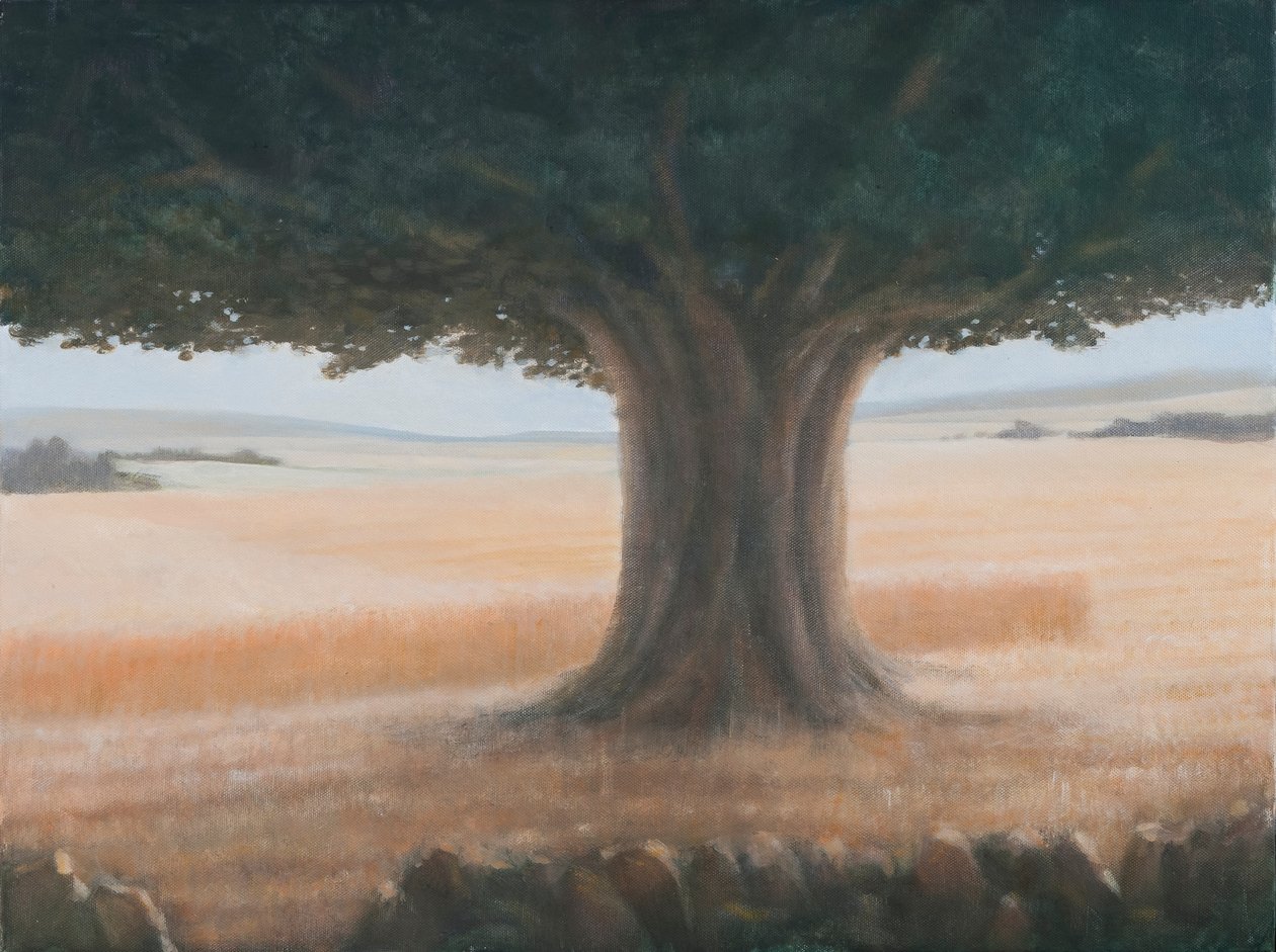 Tree, Holwell, 2012 (akryl på lærred) af Lincoln Seligman