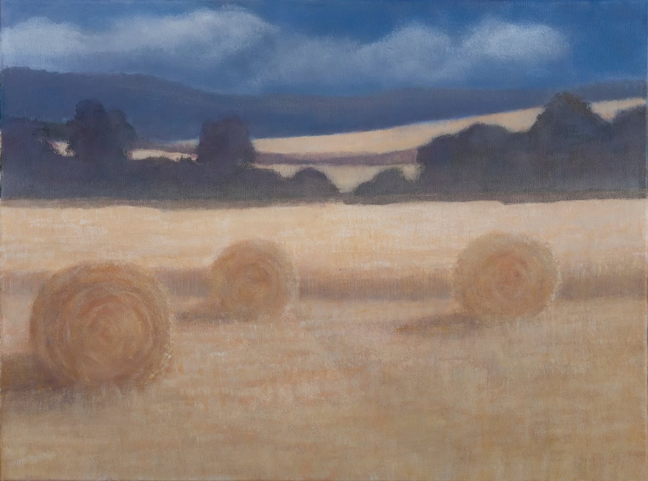 To høballer, 2012 (akryl på lærred) af Lincoln Seligman