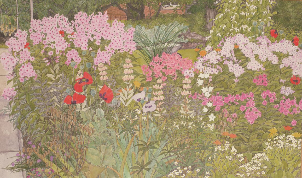 Pink Phlox i den urteagtige kant af Linda Benton