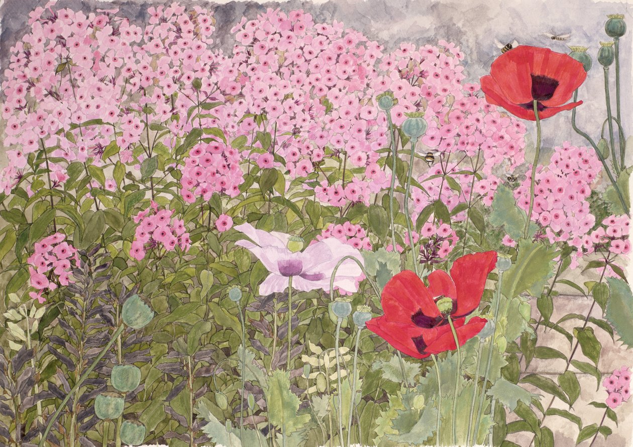 Valmuer og Phlox af Linda Benton