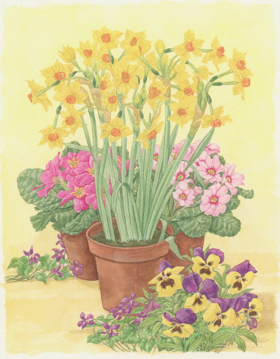 Potter med forårsblomster, 2003 (wc på papir) af Linda Benton