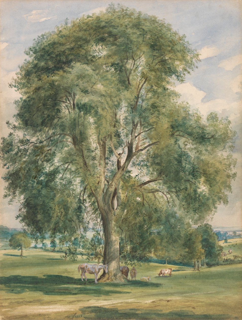 Et stort træ i et sommerlandskab, en hest, der står ved basen af Lionel Constable