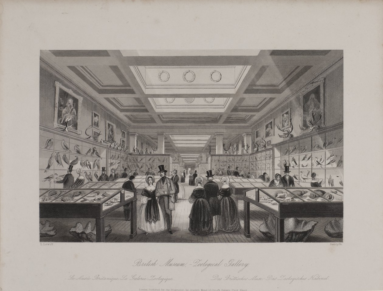 Udsigt over Zoological Gallery, British Museum, der viser besøgende, der ser på udstillinger, ca. 1850 (gravering) af Llewellyn (after) Jewitt