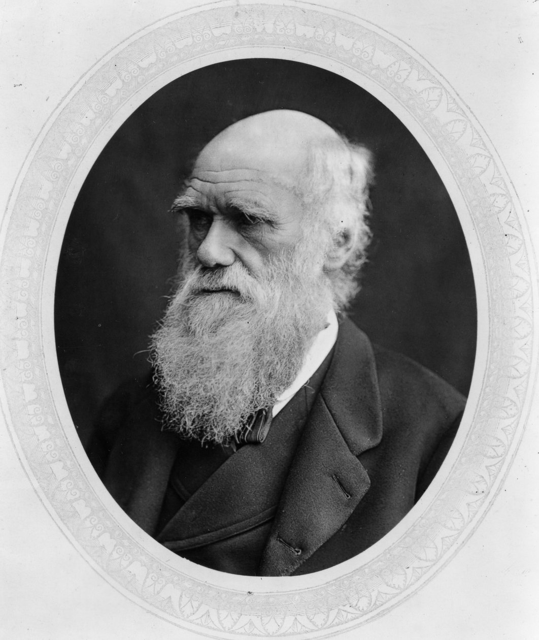 Charles Robert Darwin af Lock and Whitfield