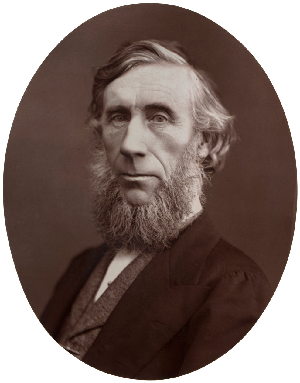 John Tyndall, DCL, LLD, FRS, professor i naturfilosofi ved Royal Institution, 1877. af Lock and Whitfield