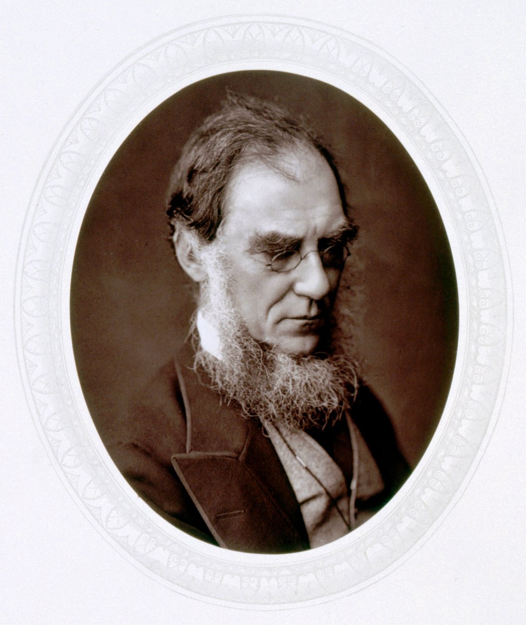Joseph Dalton Hooker, engelsk botaniker, c1880 af Lock and Whitfield
