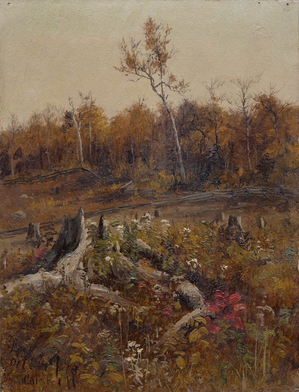 Landskab af Lockwood de Forest
