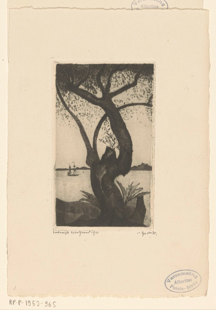 Oliventræ på Korsika Olivier, Corse (original titel) af Lodewijk Schelfhout (signed by artist)