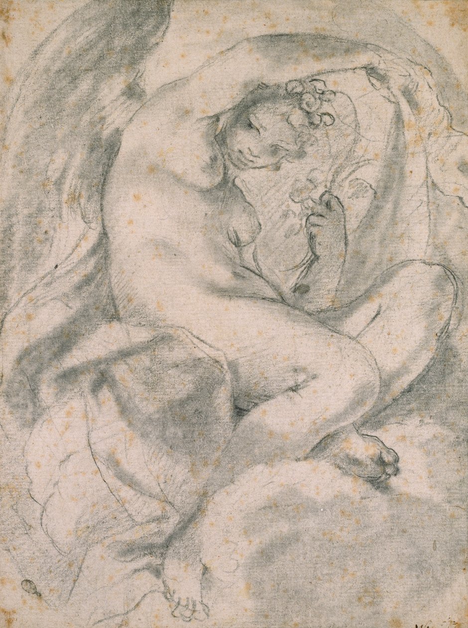 En nymfe muligvis flora blandt skyer, 1575-1619 af Lodovico Carracci