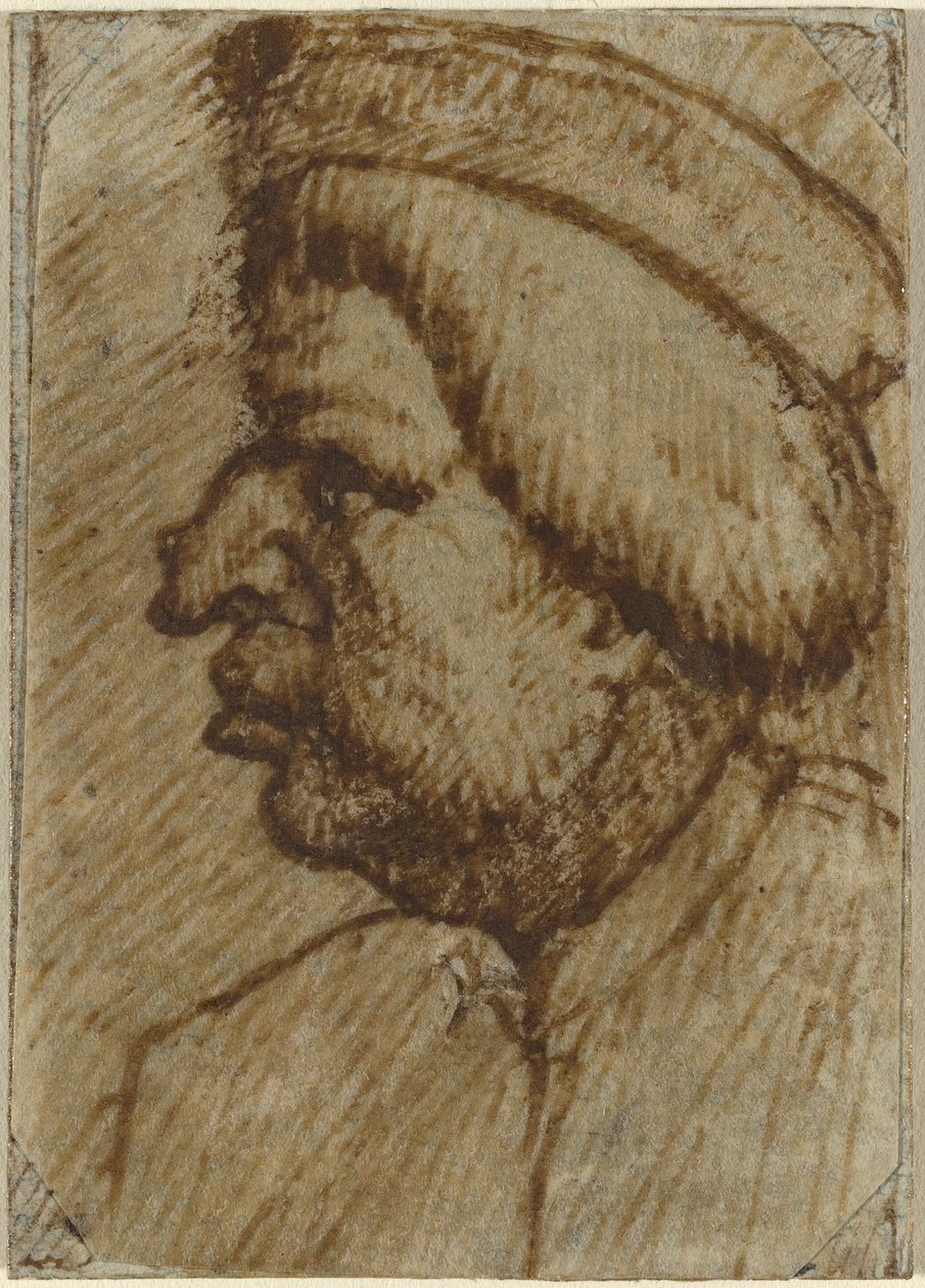 Profil af en mand af Lombard 16th Century