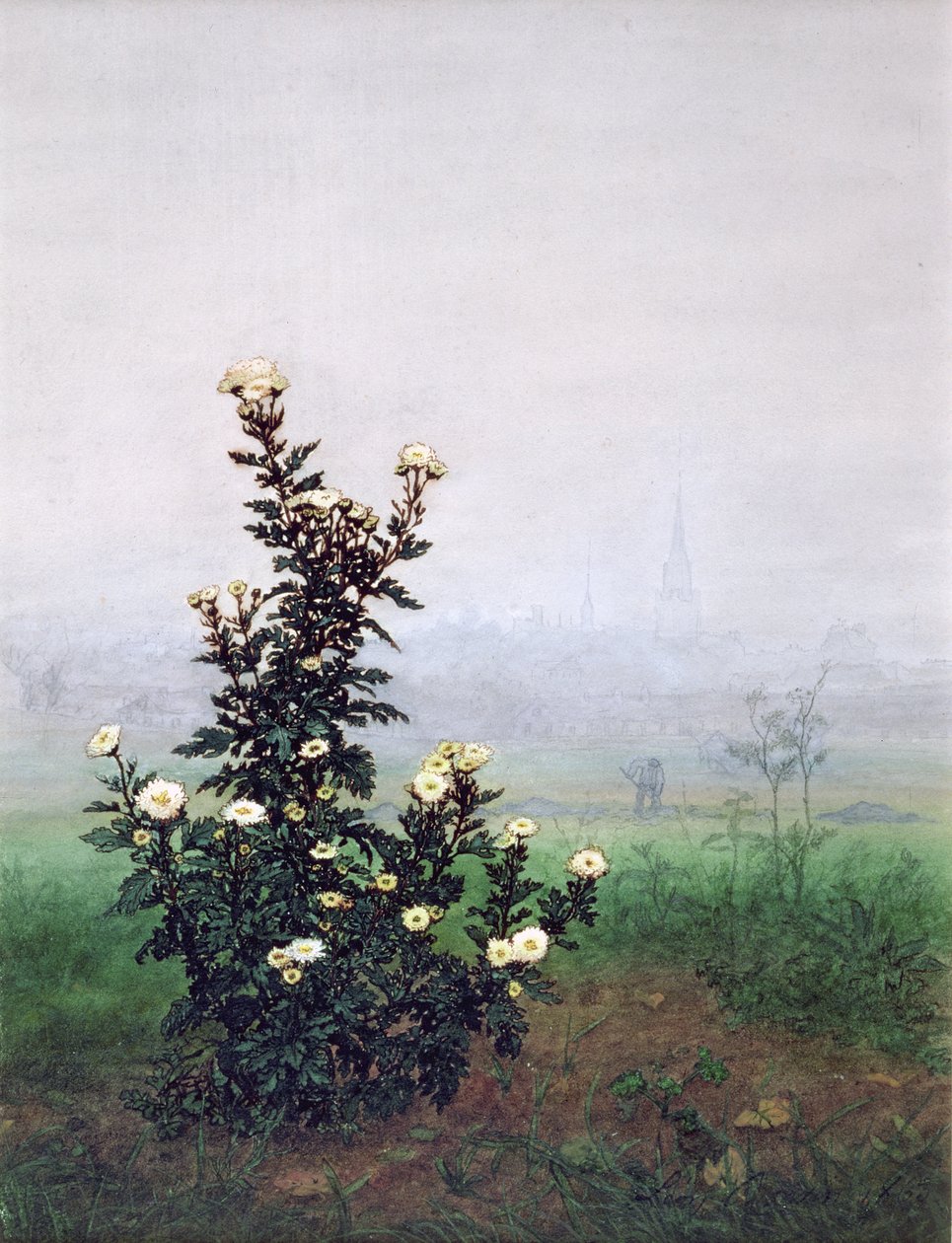 Blomstrende krysantemum med arbejder, 1863 (wc, gouache, pen og blæk og blyant på papir) af Léon Bonvin