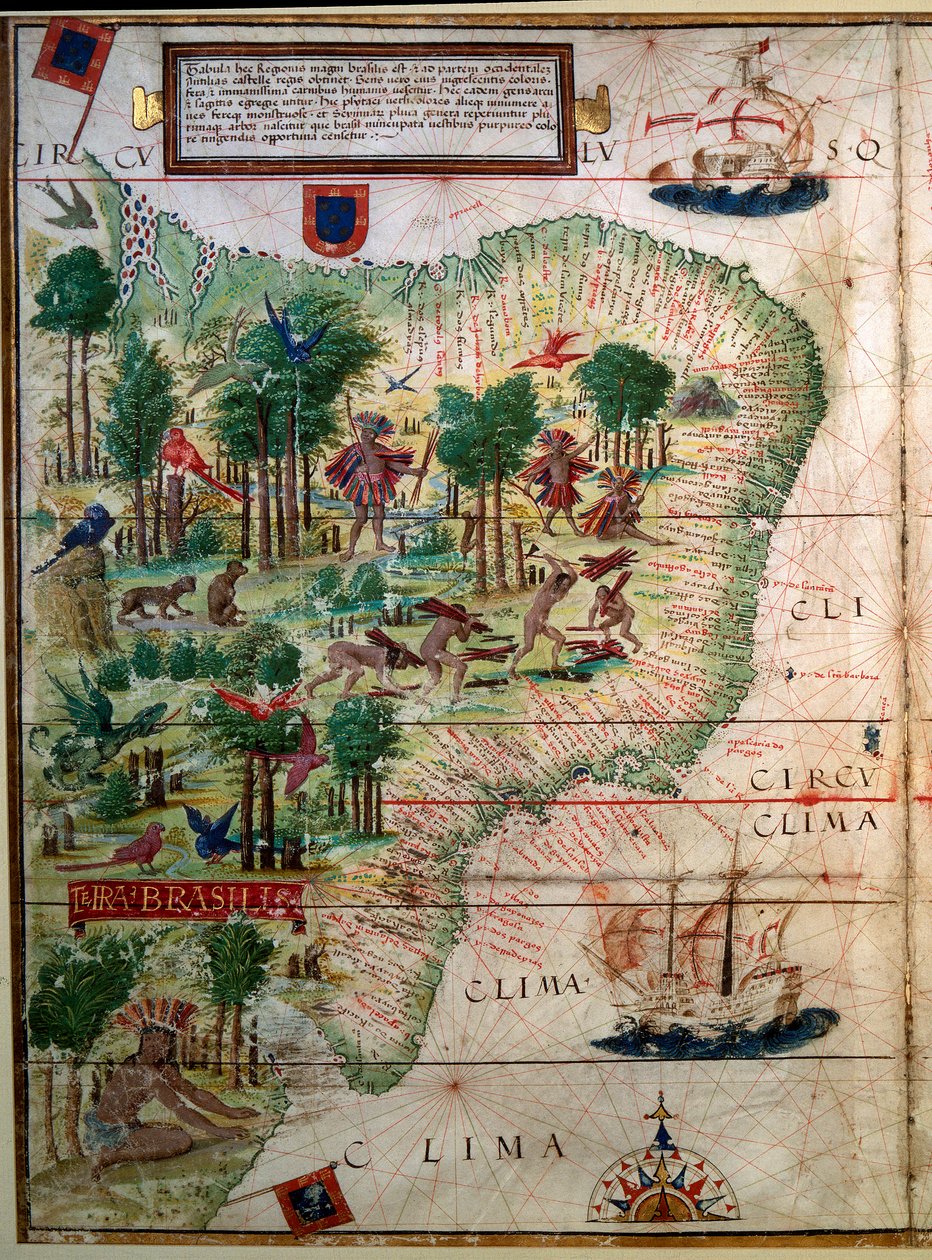 Hydrografisk kort over Brasilien. Manuskript belyst "" Portugisisk Nautisk Atlas"" af kartograf Loppo Homem 1519 Paris. B.N. af Lopo Homem