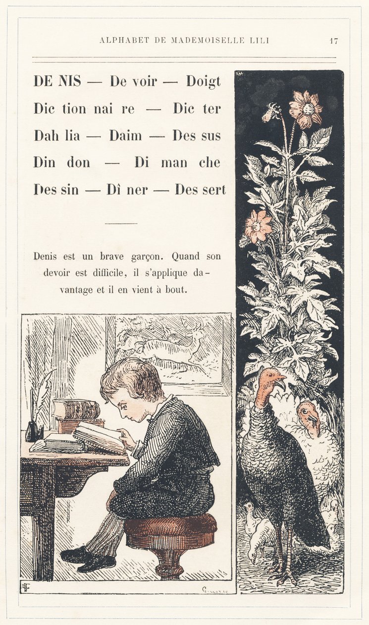 Denis, Duty, Finger, Dictionary, Dicter, Dahlia, Suede, Top, Turkey, Sunday, Drawing, Dinner, Dessert, side 17 - Alfabet af Mademoiselle Lili, af L. Froelich og af en far (Hetzel selv). Bibliotheque  Magasin d