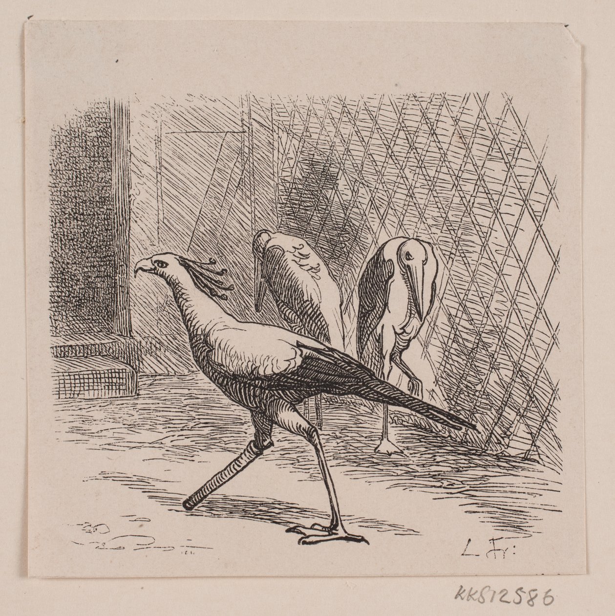 Sekretær i Jardin des Plantes af Lorenz Frølich