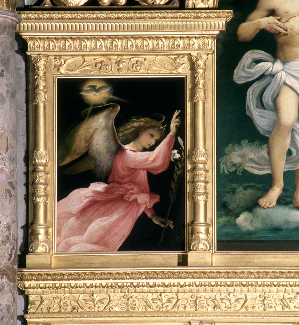 Annunciation Angel, detalje fra Polyptykonen fra San Giovanni Battista, ca. 1525 af Lorenzo Lotto