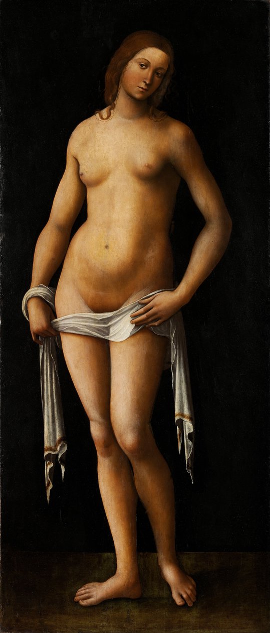 Venus af Lorenzo Costa