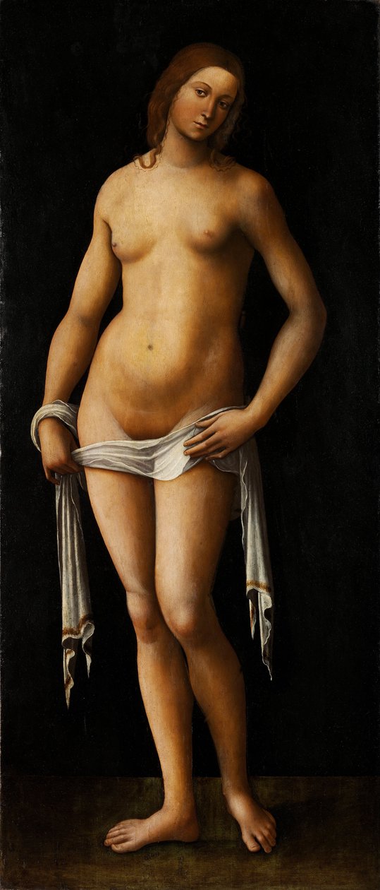 Venus - Peinture de Lorenzo Costa (1460-1535) - 1515-1517 - Olie på træ - 174x76 - Parfumemuseum, Budapest af Lorenzo Costa