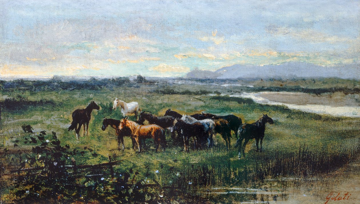 Wild Horses, noin 1870, kirjoittanut Lorenzo Gelati (1824-1893), öljy kankaalle siirretty paneeliin, 21x37 cm af Lorenzo Gelati