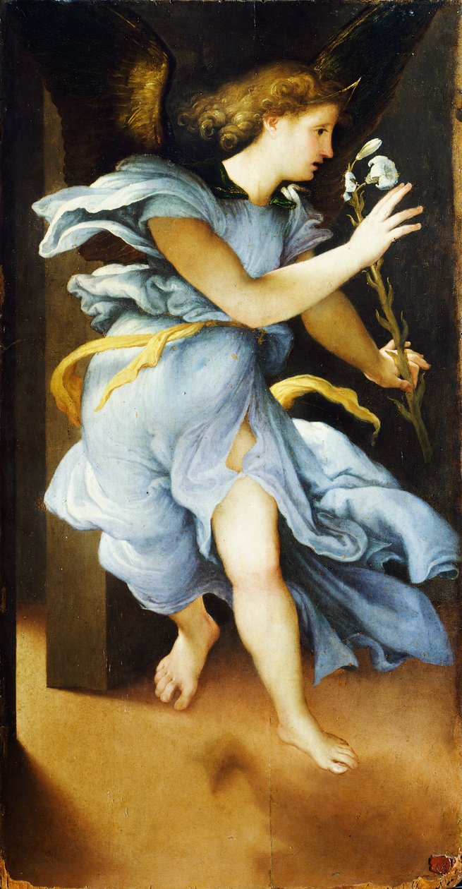 Annoncing Angel, ca. 1525, af Lorenzo Lotto (1480 ca- 1556), olie på panel, 82x42 cm af Lorenzo Lotto